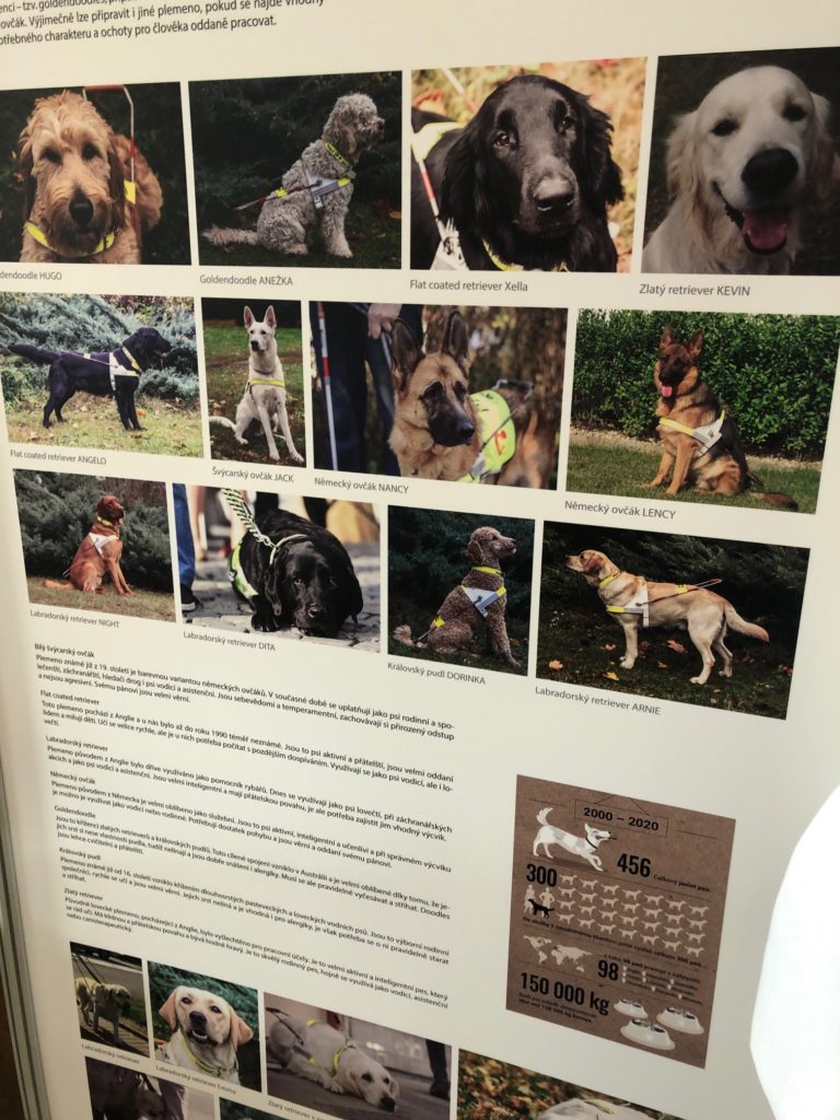 Panel na výstavě o vodicích psech